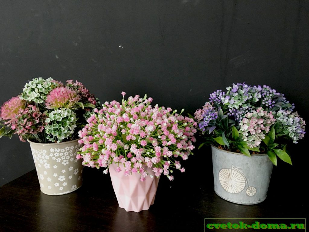 посадка цветов